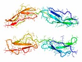 Vaccinia virus complement control protein