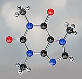 Caffeine molecule