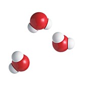 Water molecules