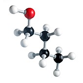 Butanol molecule