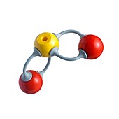 Sulphur dioxide molecule