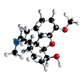 Codeine drug molecule