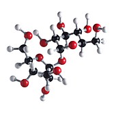 Sucrose sugar molecule