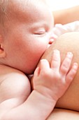 Newborn baby breastfeeding