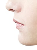 Woman's nose and mouth