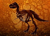 T rex fossil,artwork