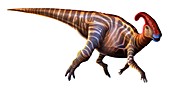 Artwork of a parasaurolophus dinosaur