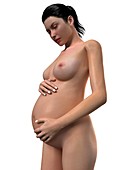 Pregnant woman,artwork