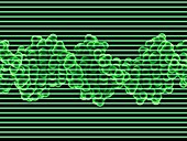 DNA molecule,artwork