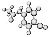 Paracetamol molecule
