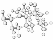 Tetrodotoxin molecule