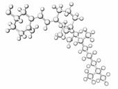 Vitamin D molecule