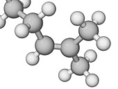 Molecular model