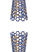 Carbon nanotubes,artwork