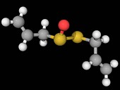 Allicin molecule