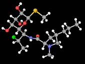 Clindamycin drug molecule