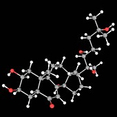 Ecdysterone molecule