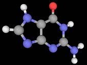 Guanine molecule