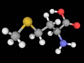 Methionine molecule