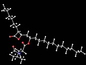 Orlistat drug molecule
