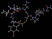Oxytocin hormone molecule