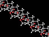 Polymethyl methacrylate molecule