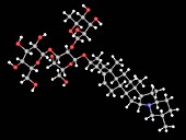 Solanine poison molecule