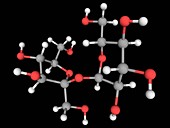 Sucrose molecule