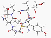 Alpha-Amanitin toxin molecule