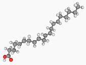 Arachidonic acid molecule