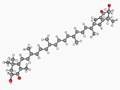 Astaxanthin molecule