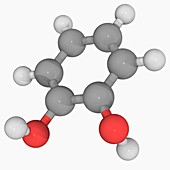 Catechol molecule