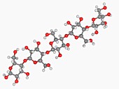 Cellulose molecule