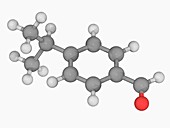 Cuminaldehyde molecule