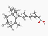 Isotretinoin drug molecule