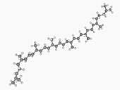 Lycopene molecule
