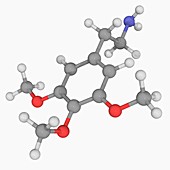 Mescaline drug molecule
