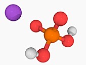 Monosodium phosphate molecule