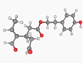 Oleocanthal molecule