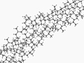Polypropylene molecule
