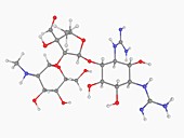 Streptomycin drug molecule