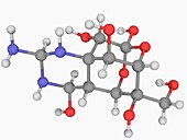 Tetrodotoxin TTX neurotoxin molecule