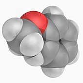 Anisole molecule