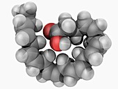 Docosahexaenoic acid molecule
