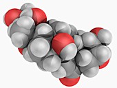 Ecdysterone molecule