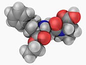 Enalapril drug molecule