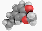 Eugenol molecule