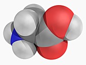 Glycine molecule