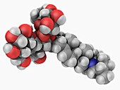Solanine poison molecule