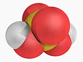 Sulfuric acid molecule